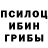 Псилоцибиновые грибы Magic Shrooms DMUTRIY