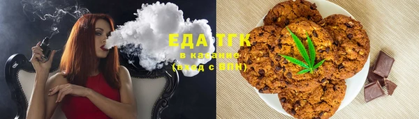 ПСИЛОЦИБИНОВЫЕ ГРИБЫ Ельня