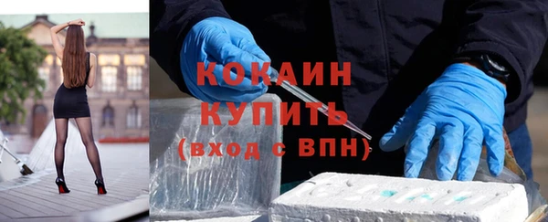 ПСИЛОЦИБИНОВЫЕ ГРИБЫ Ельня