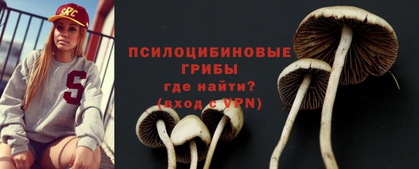 ешки Елизово