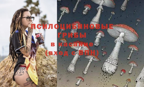 амф Елабуга