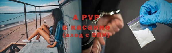 ПСИЛОЦИБИНОВЫЕ ГРИБЫ Ельня
