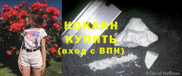 ешки Елизово