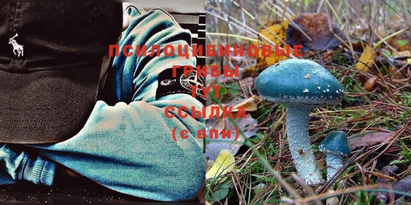 ешки Елизово
