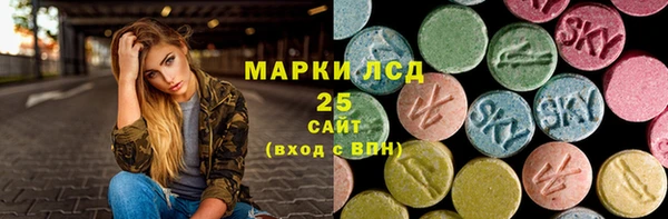 ПСИЛОЦИБИНОВЫЕ ГРИБЫ Ельня