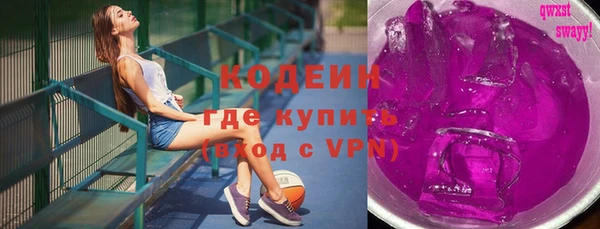 ПСИЛОЦИБИНОВЫЕ ГРИБЫ Ельня